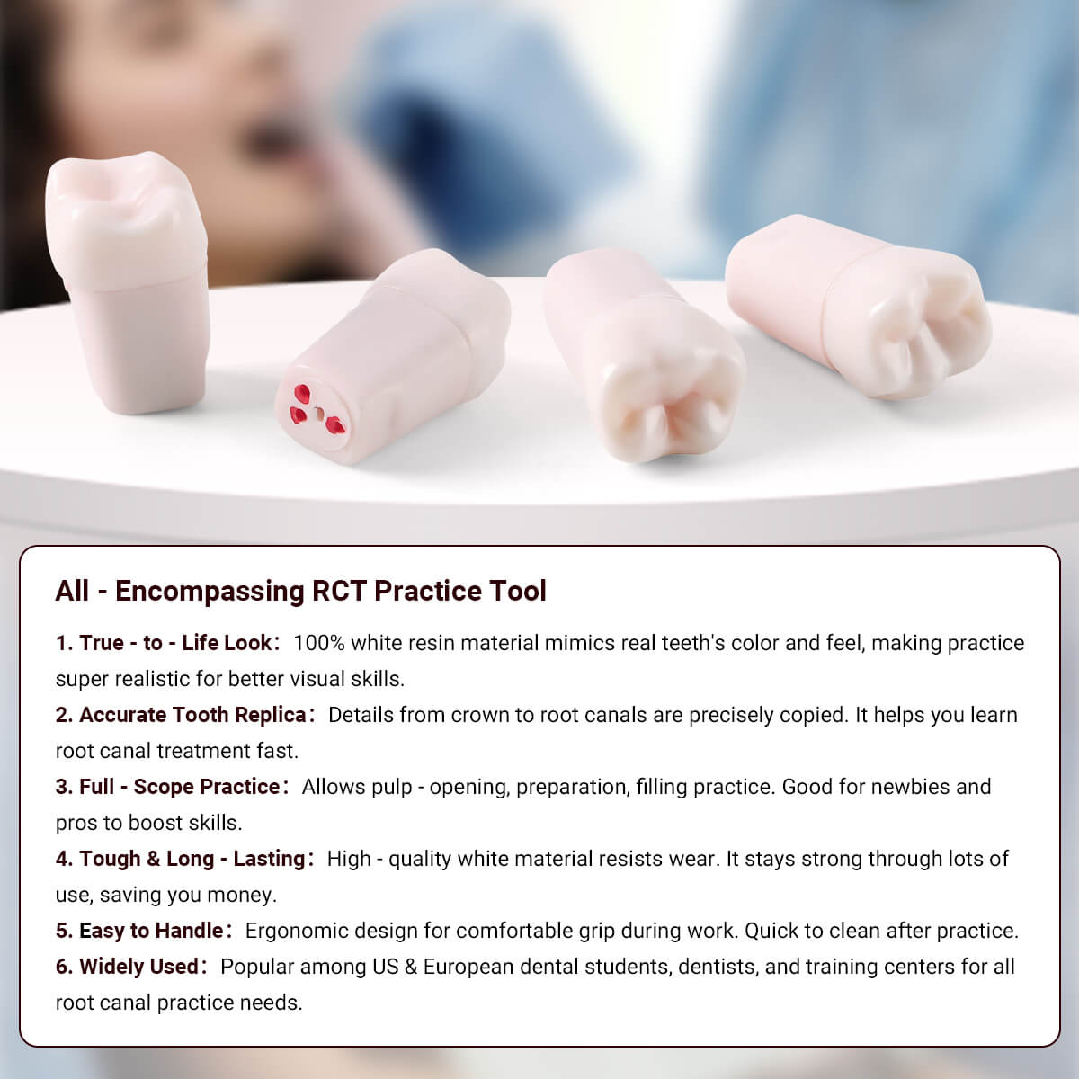 Dental Endo Teeth Model White Root Canal Practice Block RCT Study Training Teaching 5Pcs/Set