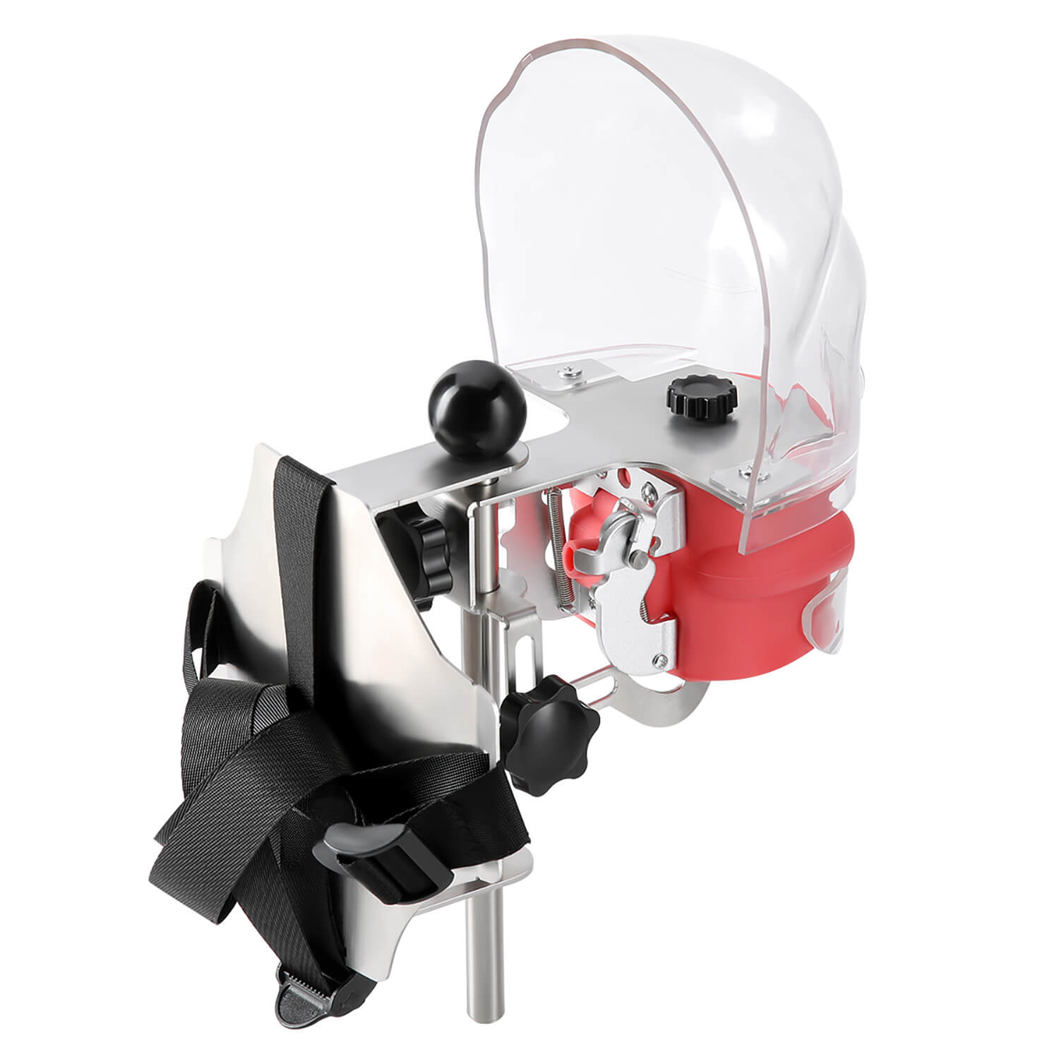 Dental Simulation Mannequin Teaching Head Model with Adjustable Straps