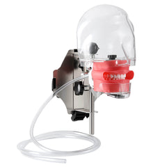 Dental Simulation Mannequin Teaching Head Model with Adjustable Straps