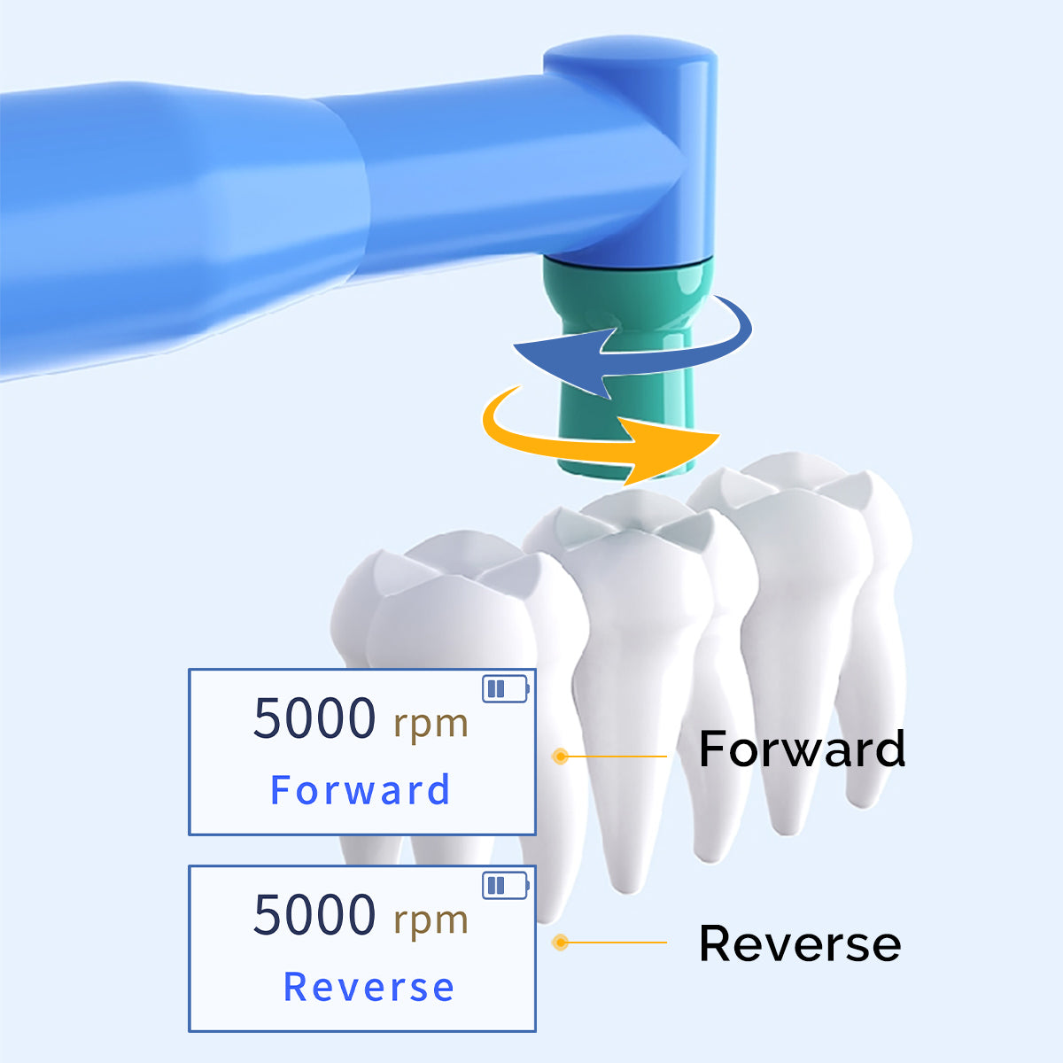 Dental Cordless Brushless Hygiene Prophy Handpiece 10 Speed Settings Prophy Angle 360° Rotating