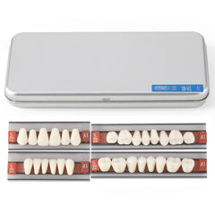 Dental Synthetic Resin Teeth Denture A1 A2 A3 GN-III Plastic Steel Two-Layer 28 Teeth/Set