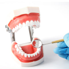 Dental Colorful Mouth Mirror Stainless Steel Non-slip Handle 8pcs/Pack