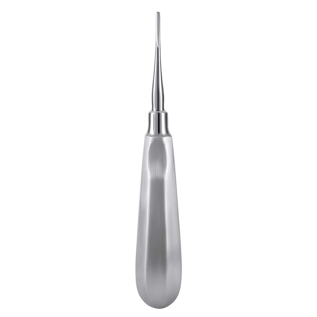 Dental Surgical Instrument Teeth Elevators Straight/Curved 6 Sizes