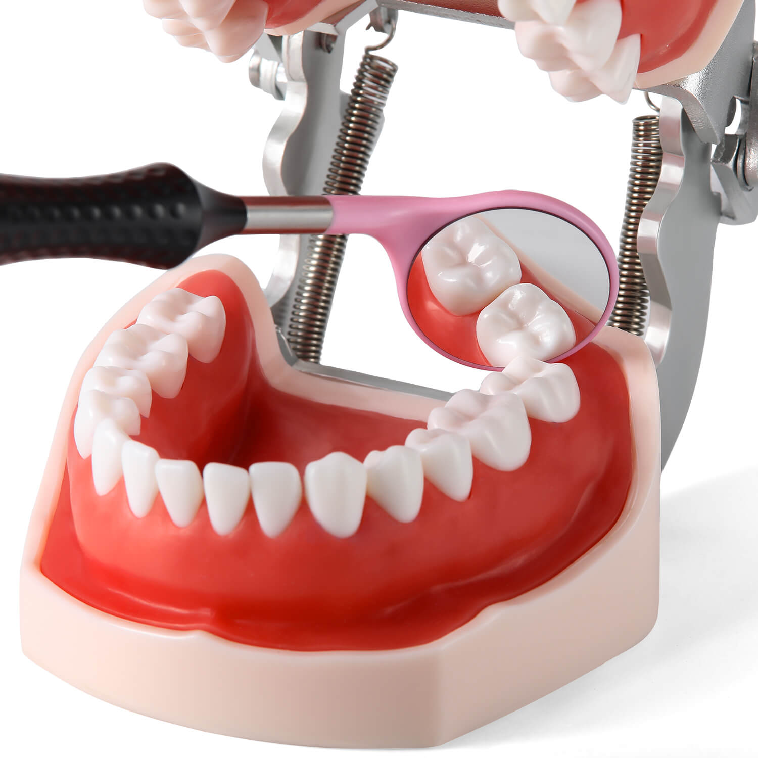 Dental Ultra Clear Mouth Mirror Colorful Plastic/Metal Mirror Heads & Handle