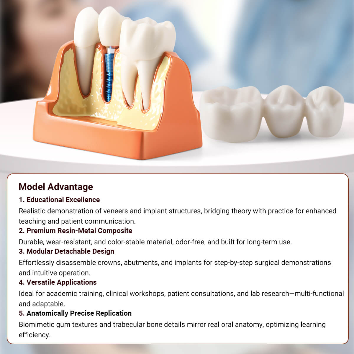 Dental 4 Times Implant Teeth Model Analysis Crown Bridge Demonstration Removable
