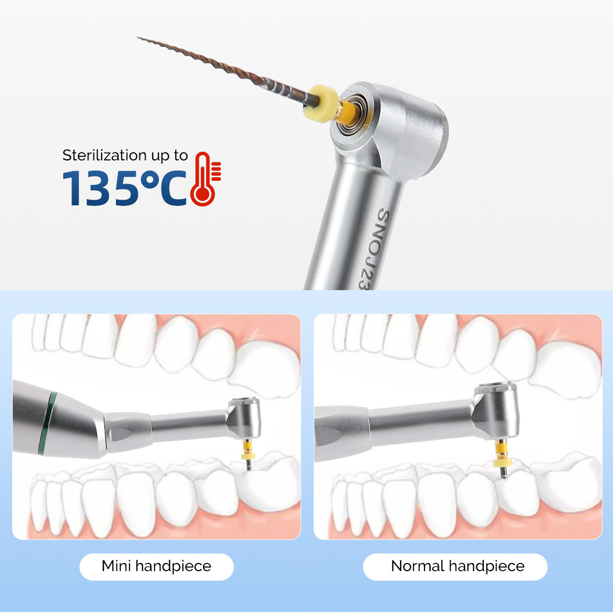 AZDENT Dental Wireless Endodontic Motor Root Canal Treatment With 16:1 Electric Contra Angle 9 Programs