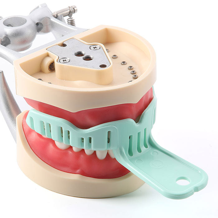 Bandejas de impresión dental de boca completa para moldes dentales, tamaño pequeño, verde, 6 piezas/juego