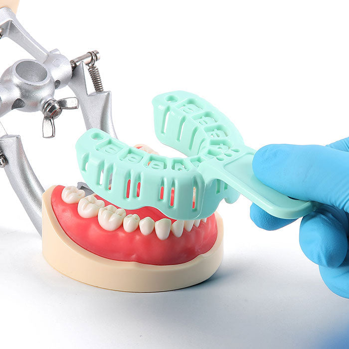 Bandejas de impresión dental de boca completa para moldes dentales, tamaño pequeño, verde, 6 piezas/juego