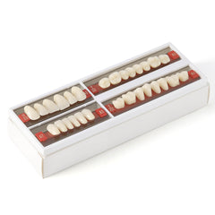 Dental Synthetic Resin Teeth Denture A1 A2 A3 Shade GN-II Two-Layer 28 Teeth/Set