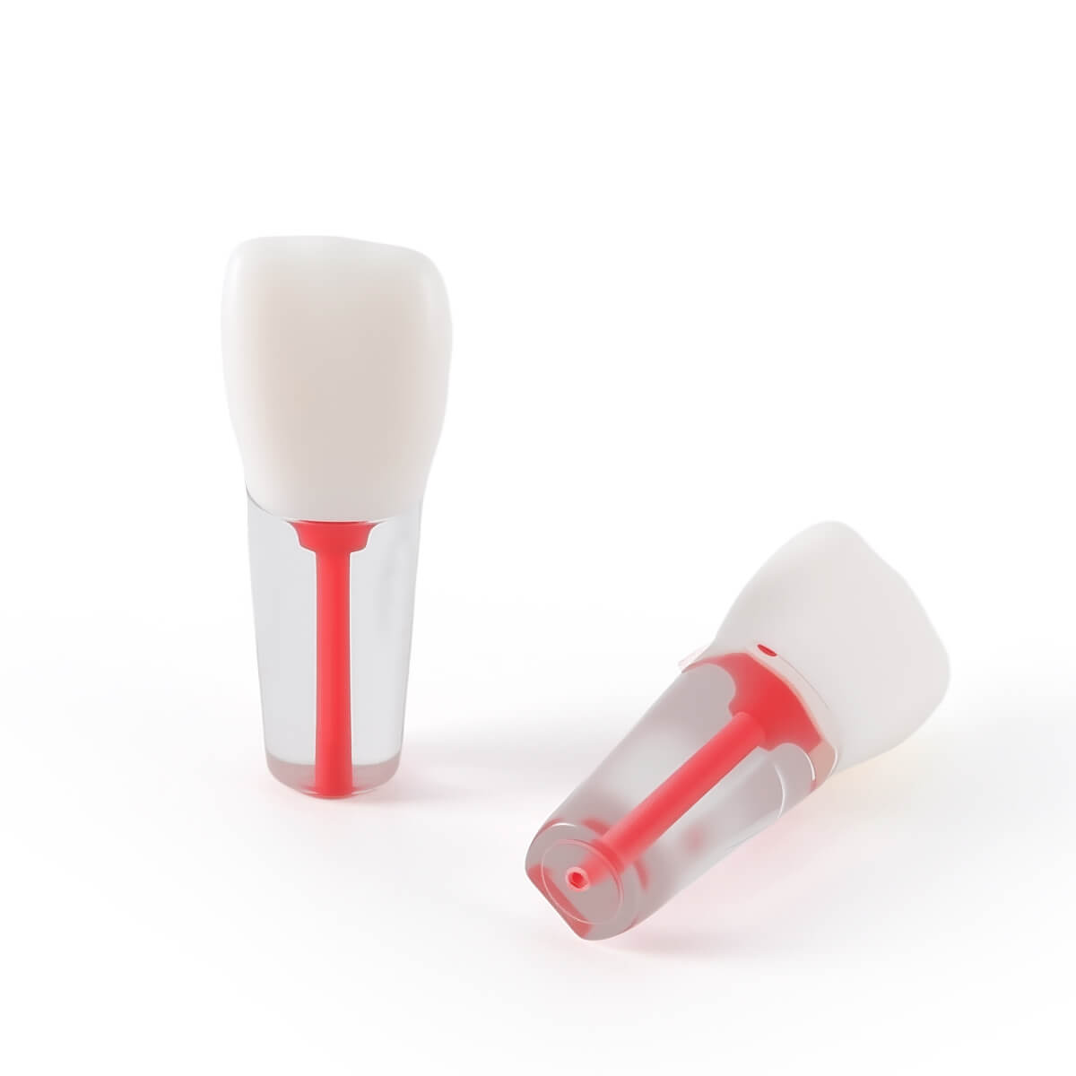 Dental Endo Teeth Model Transparent Root Canal Practice Block RCT Pulp Cavity Study Training Teaching 5Pcs/Set