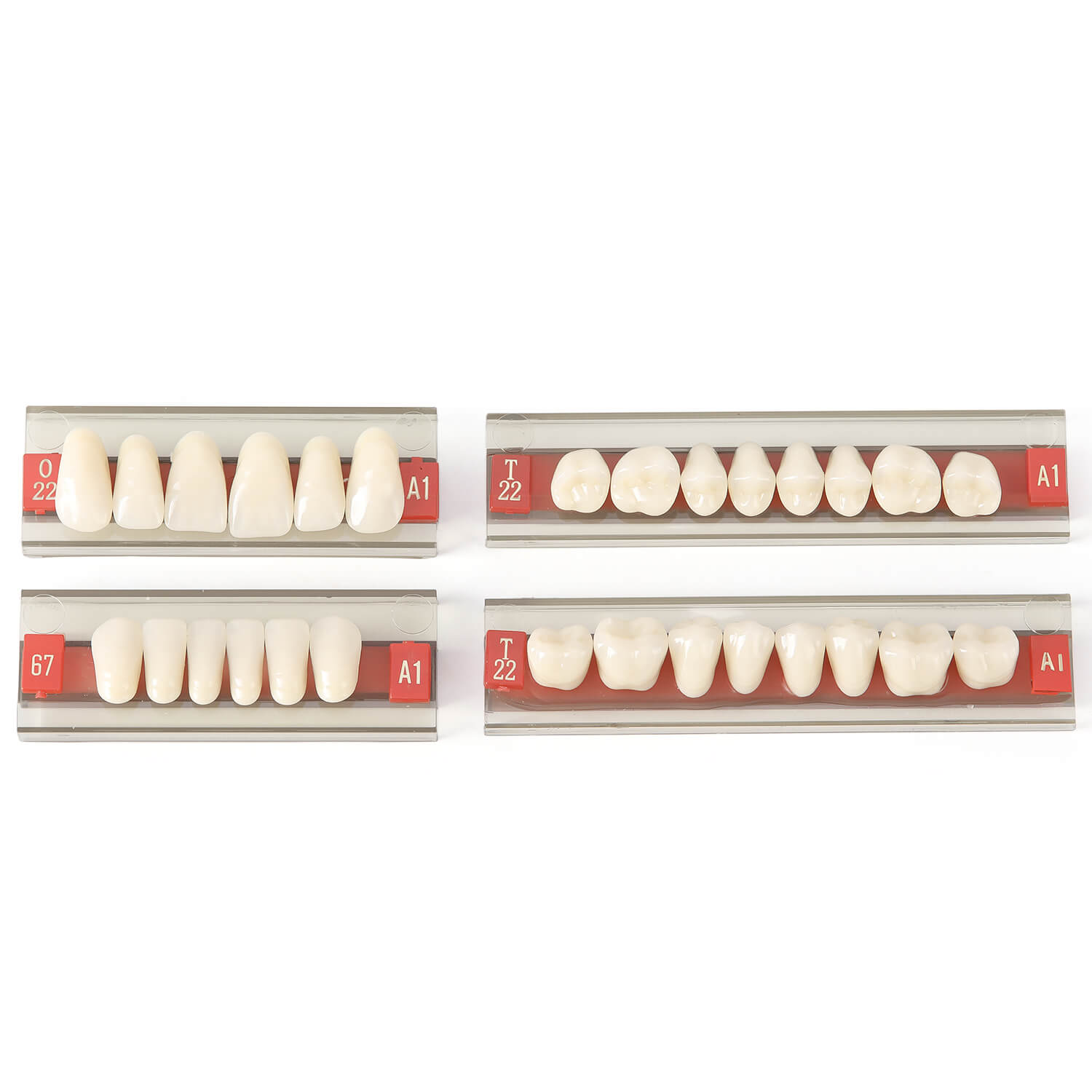 Dental Synthetic Resin Teeth Denture A1 A2 A3 Shade GN-II Two-Layer 28 Teeth/Set