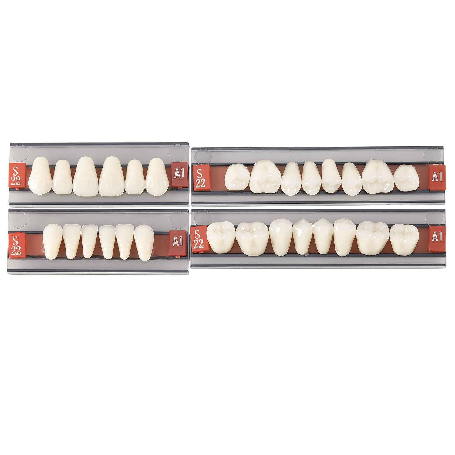 Dental Synthetic Resin Teeth Denture A1 A2 A3 GN-III Plastic Steel Two-Layer 28 Teeth/Set