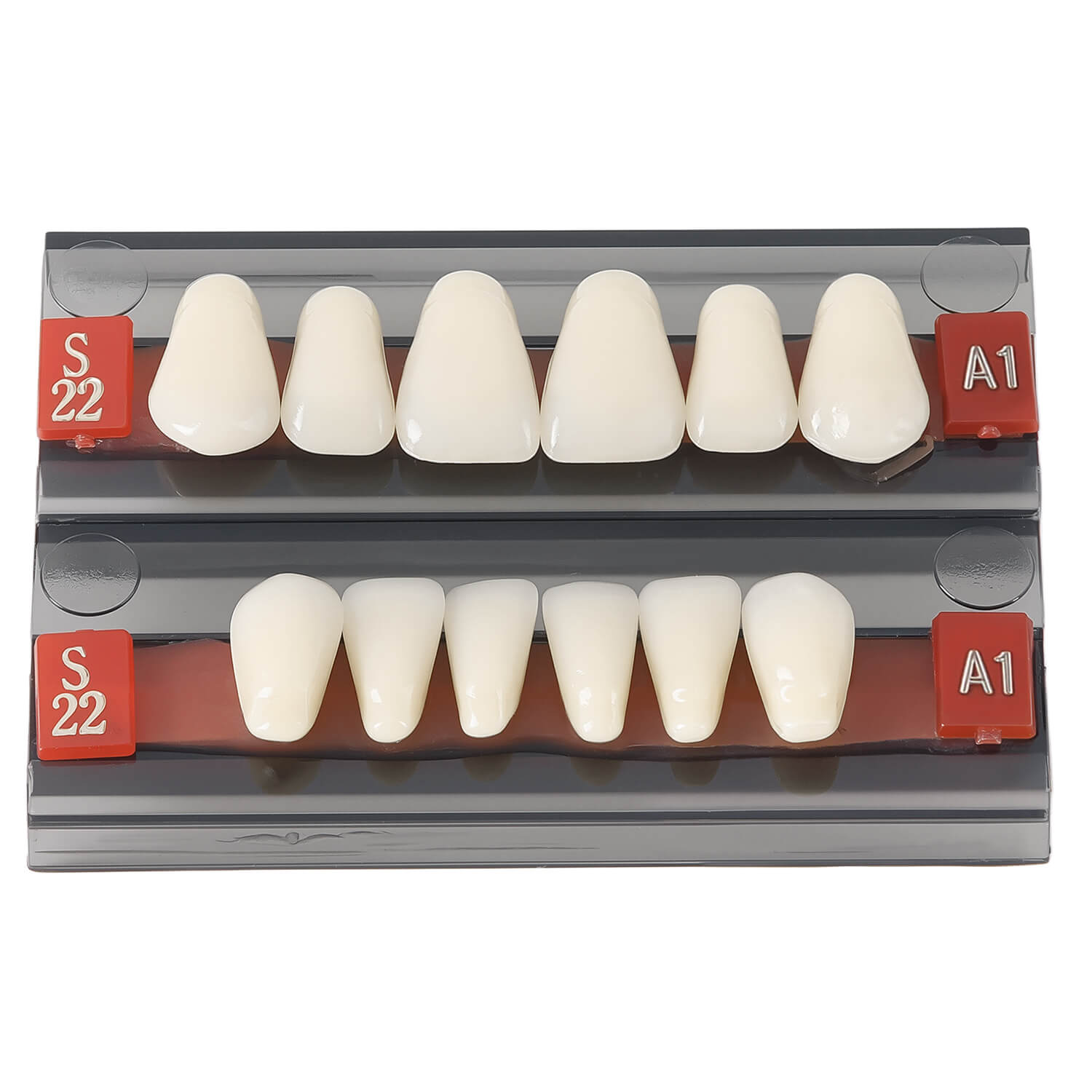 Dental Synthetic Resin Teeth Denture A1 A2 A3 GN-III Plastic Steel Two-Layer 28 Teeth/Set