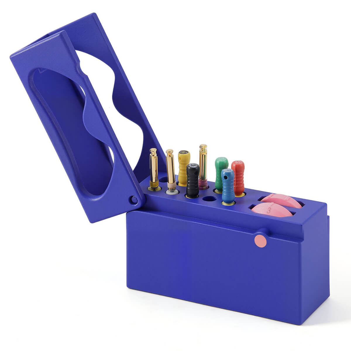 Dental 10 Holes Endo Files Disinfection Box With Memory Holder & Measuring Counter