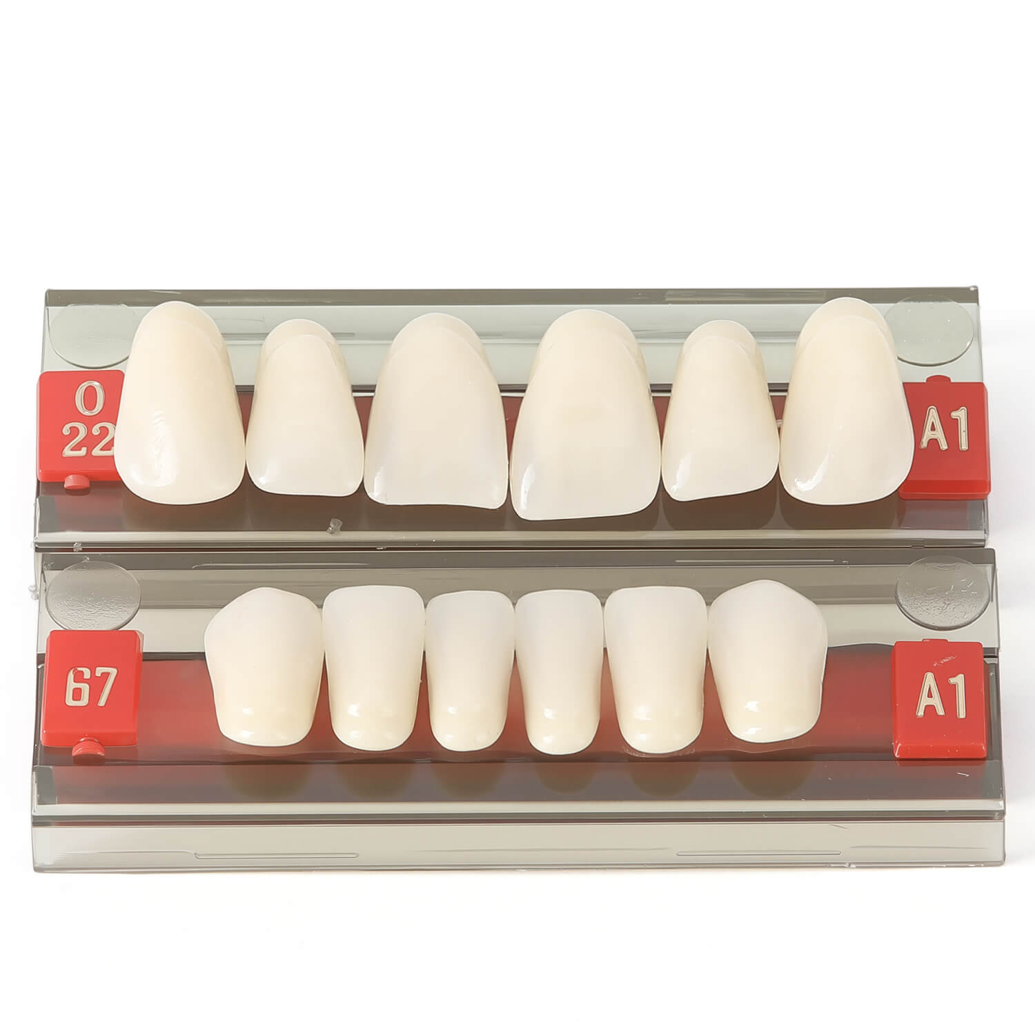 Dental Synthetic Resin Teeth Denture A1 A2 A3 Shade GN-II Two-Layer 28 Teeth/Set