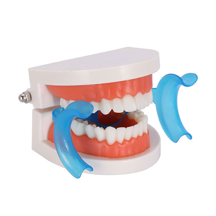 Dental Cheek Retractor Mouth Opener M Type with Mirror 10pcs/set