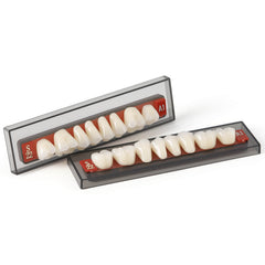 Dental Synthetic Resin Teeth Denture A1 A2 A3 GN-III Plastic Steel Two-Layer 28 Teeth/Set