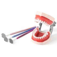 Dental Colorful Mouth Mirror Stainless Steel Non-slip Handle 8pcs/Pack