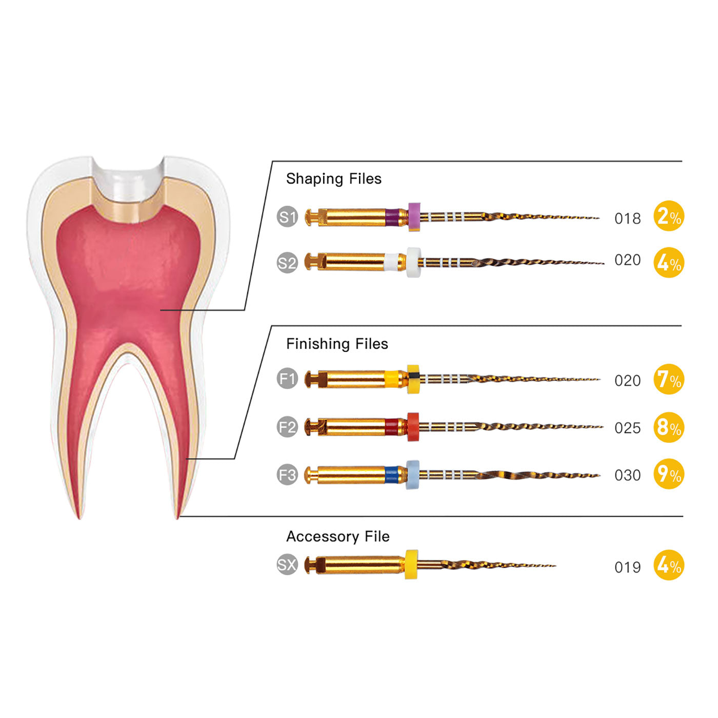AZDENT Dental NiTi Rotary Engine Files 25mm Assorted SX-F3 Gold 6pcs/Pk