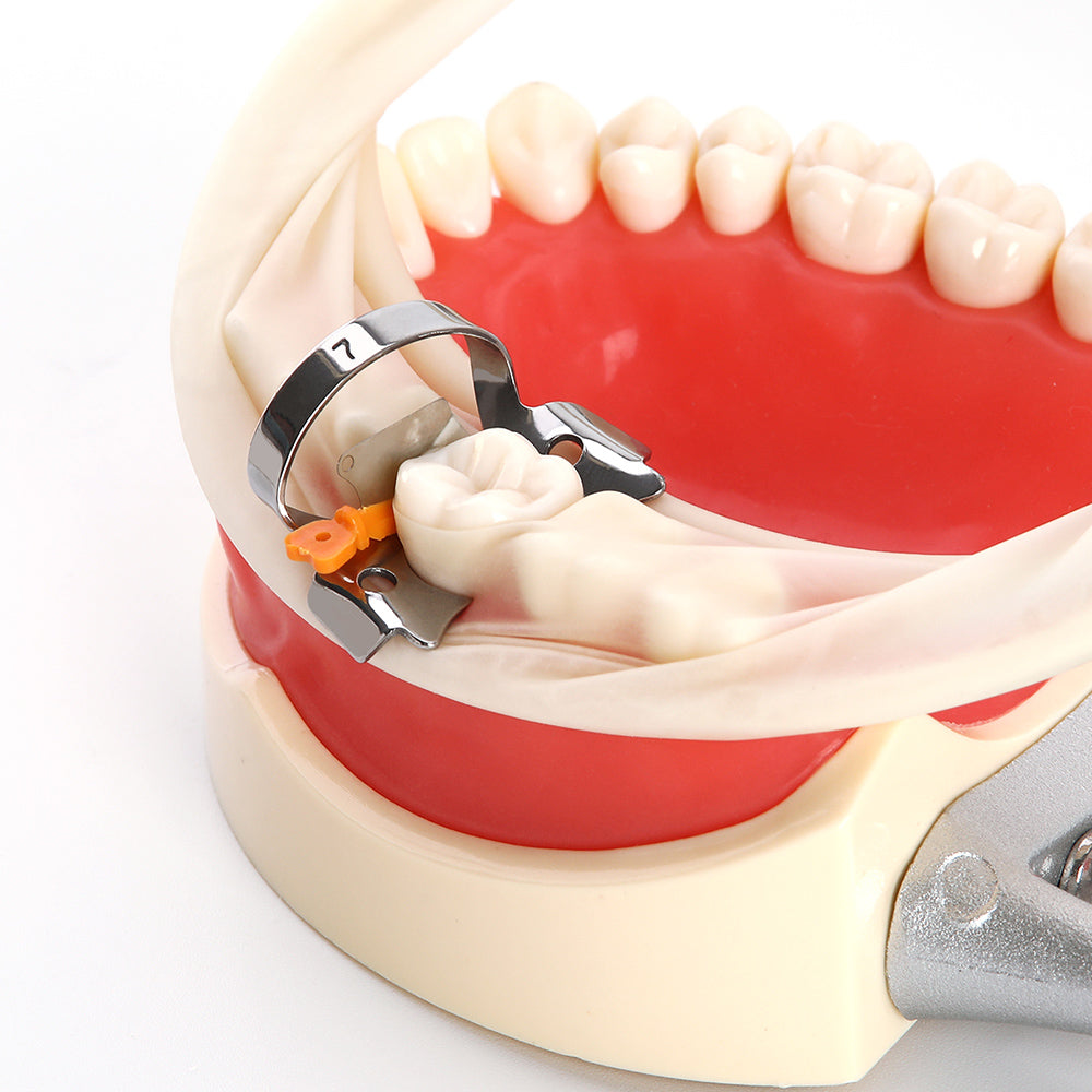 Пластиковый клин для межзубных промежутков Dental Prime Teeth с защитой, стоматологическая стальная матрица, средний оранжевый, 50 шт. в коробке